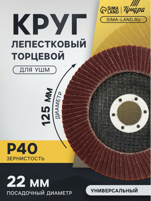 Круг лепестковый торцевой ТУНДРА, 125×22 мм, Р40