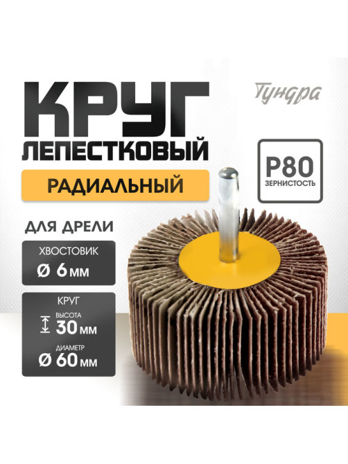 Круг лепестковый радиальный ТУНДРА, 60×30×6 мм, Р80