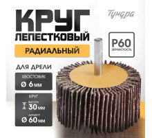 Круг лепестковый радиальный ТУНДРА, 60×30×6 мм, Р60