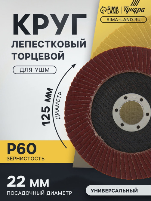 Круг лепестковый торцевой конический ТУНДРА, 125×22 мм, Р60