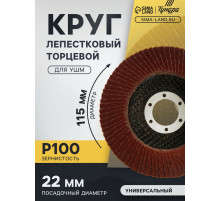 Круг лепестковый торцевой ТУНДРА, 115×22 мм, Р100