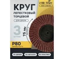 Круг лепестковый торцевой ТУНДРА, для дрели, М8, 75 мм, P80, 3 шт.