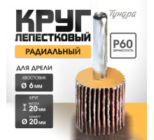Круг лепестковый радиальный ТУНДРА, 20×20×6 мм, Р60