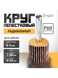 Круг лепестковый радиальный ТУНДРА, 20×20×6 мм, Р60