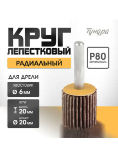 Круг лепестковый радиальный ТУНДРА, 20×20×6 мм, Р80