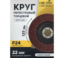 Круг лепестковый торцевой ТУНДРА, 125×22 мм, Р24