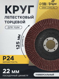 Круг лепестковый торцевой ТУНДРА, 125×22 мм, Р24