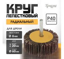 Круг лепестковый радиальный ТУНДРА, 60×20×6 мм, Р40