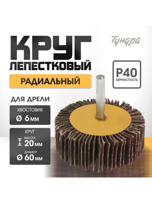 Круг лепестковый радиальный ТУНДРА, 60×20×6 мм, Р40