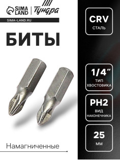 Биты ТУНДРА, намагниченные, сталь CrV, PH2×25 мм, 2 шт.