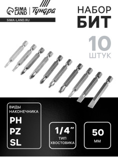 Набор бит ТУНДРА, сталь CrV, PH, PZ, SL, Torx × 50 мм, 10 шт.