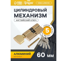 Цилиндровый механизм, 60 мм, с вертушкой, английский ключ, 5 ключей, цвет золото