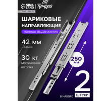Шариковые направляющие, L=250 мм, Н=42 мм, толщина 0.7 мм 2 шт.