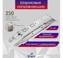Шариковые направляющие ТУНДРА, с доводчиком 4510, L=250 мм H=45 мм 2 шт.