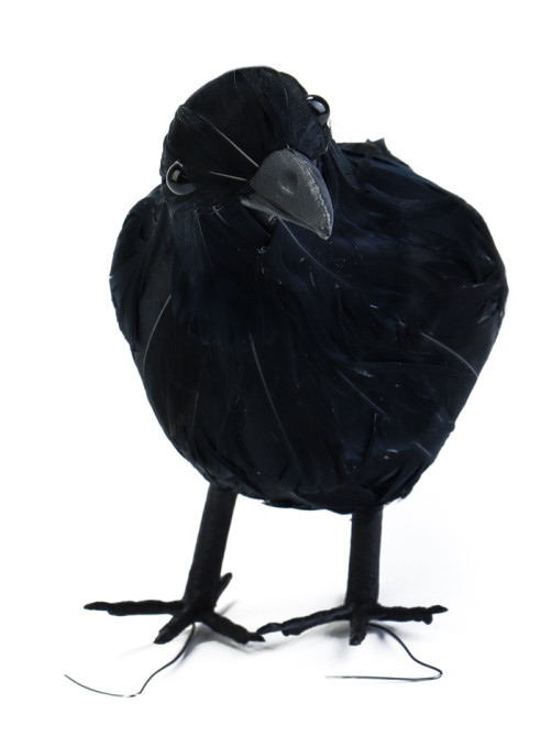 Фигурка TAKE IT EASY «Ворон», 27×8×17 см