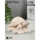 Фигурка «Черепаха на камне», слоновая кость, 11×7×5.5 см