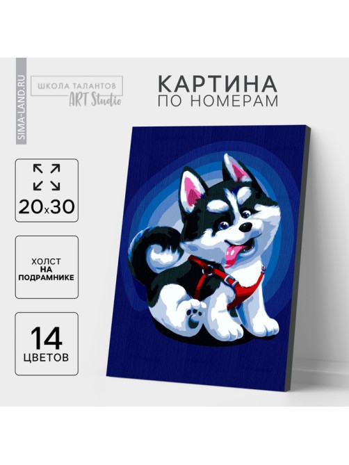 Картина по номерам на холсте с подрамником «Щенок хаски», 30×20 см