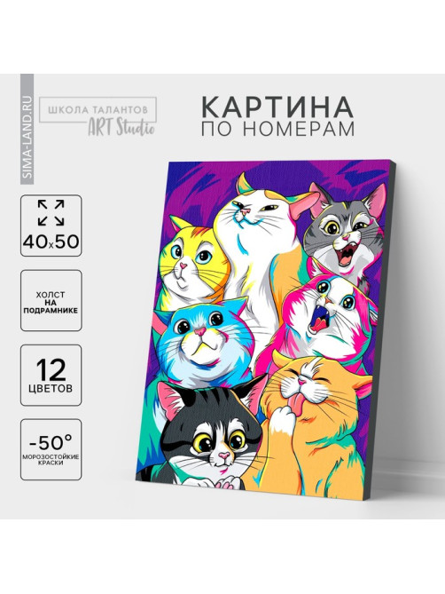 Картина по номерам на холсте с подрамником «Яркие котики», 40×50 см