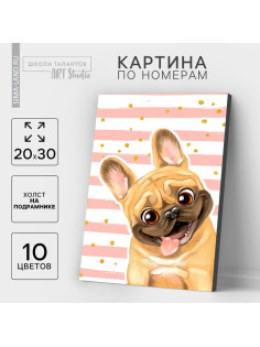 Картина по номерам на холсте с подрамником «Мопс», 20×30 см