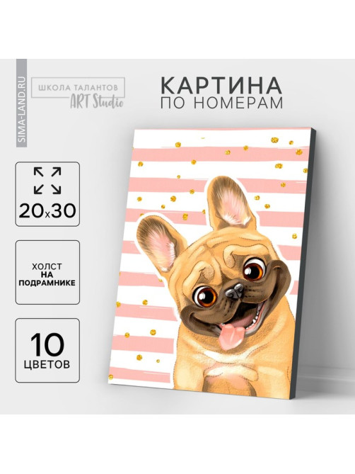 Картина по номерам на холсте с подрамником «Мопс», 20×30 см