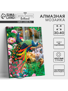 Алмазная мозаика с частичным заполнением на подрамнике «Павлины», 30×40 см
