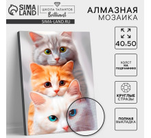 Алмазная мозаика с полным заполнением на холсте с подрамником «Котята», 40×50 см