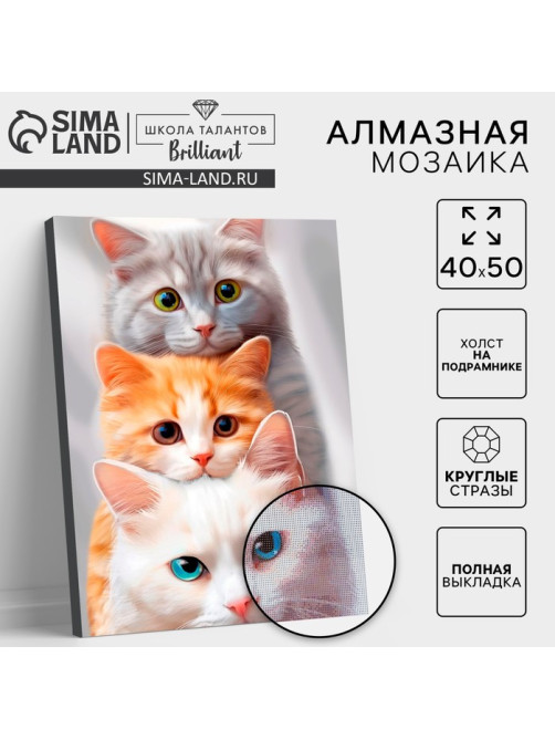 Алмазная мозаика с полным заполнением на холсте с подрамником «Котята», 40×50 см