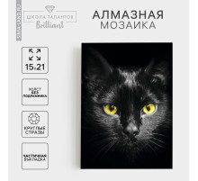 Алмазная мозаика с частичным заполнением на холсте «Чёрный кот», 15×21 см