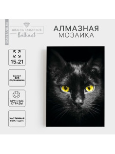 Алмазная мозаика с частичным заполнением на холсте «Чёрный кот», 15×21 см