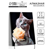 Алмазная вышивка полное заполнение «Котенок с розой», на раме, 40×50 см