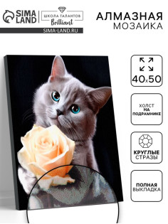 Алмазная вышивка полное заполнение «Котенок с розой», на раме, 40×50 см