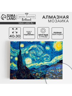 Алмазная мозаика с полным заполнением на холсте «Звёздная ночь», 30×40 см
