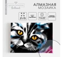Алмазная мозаика с полным заполнением на холсте «Кот», 15×21 см
