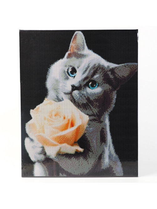 Алмазная вышивка полное заполнение «Котенок с розой», на раме, 40×50 см