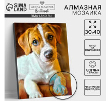 Алмазная мозаика с частичным заполнением на подрамнике «Пёс», 30×40 см