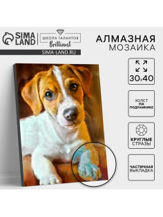Алмазная мозаика с частичным заполнением на подрамнике «Пёс», 30×40 см