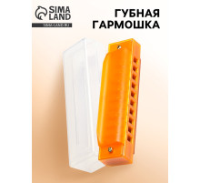 Губная гармошка Music Life, диатоническая, 10 отверстий, c-major, с футляром, оранжевая