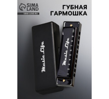 Губная гармошка Music Life, диатоническая, C-major, с футляром, черная