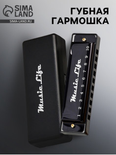 Губная гармошка Music Life, диатоническая, C-major, с футляром, черная