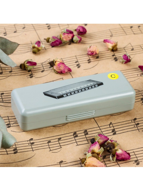 Губная гармошка Music Life T10-1 C BLACK диатоническая, 10 отверстий, с футляром