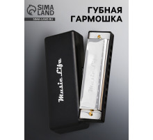 Губная гармошка Music Life, диатоническая, C-major, с футляром, серебристая