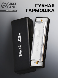 Губная гармошка Music Life, диатоническая, C-major, с футляром, серебристая