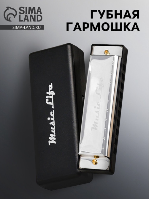 Губная гармошка Music Life, диатоническая, C-major, с футляром, серебристая