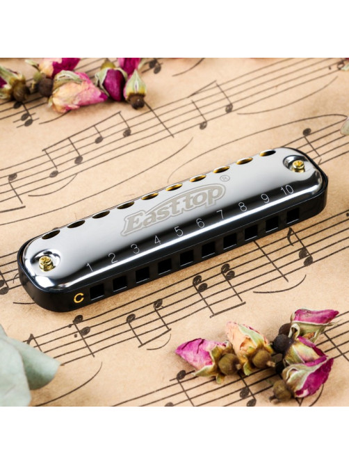Губная гармошка Music Life T10-1 C BLACK диатоническая, 10 отверстий, с футляром