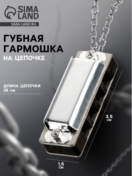 Губная гармошка Music Life 4 отверстия, 8 тонов, 3.5×1.5×1 см, цепь 28 см, серебристая