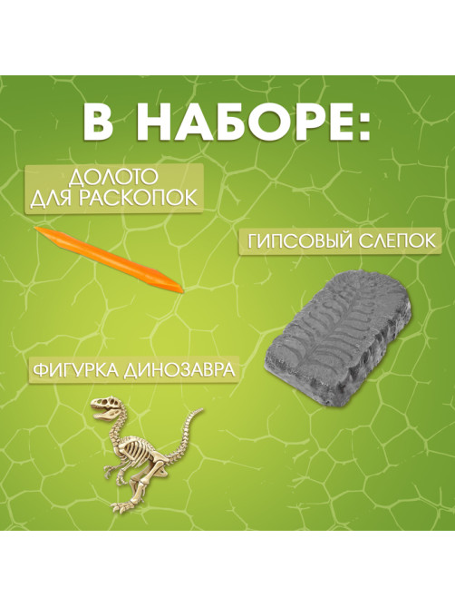 Набор для раскопок «Раскопай динозавра»