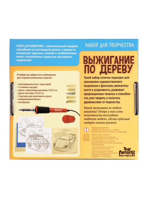 Выжигание и роспись по дереву «Чемпион», набор для творчества