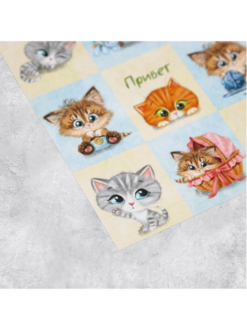 Наклейки детские «Котята», раскраска на обороте, 11×15.5 см