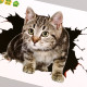 Наклейка интерьерная 3Д TAKE IT EASY «Котик», 30×20 см