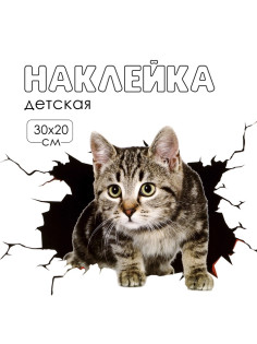Наклейка интерьерная 3Д TAKE IT EASY «Котик», 30×20 см